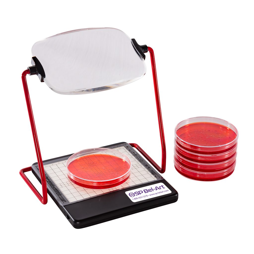 Mini Magnifier