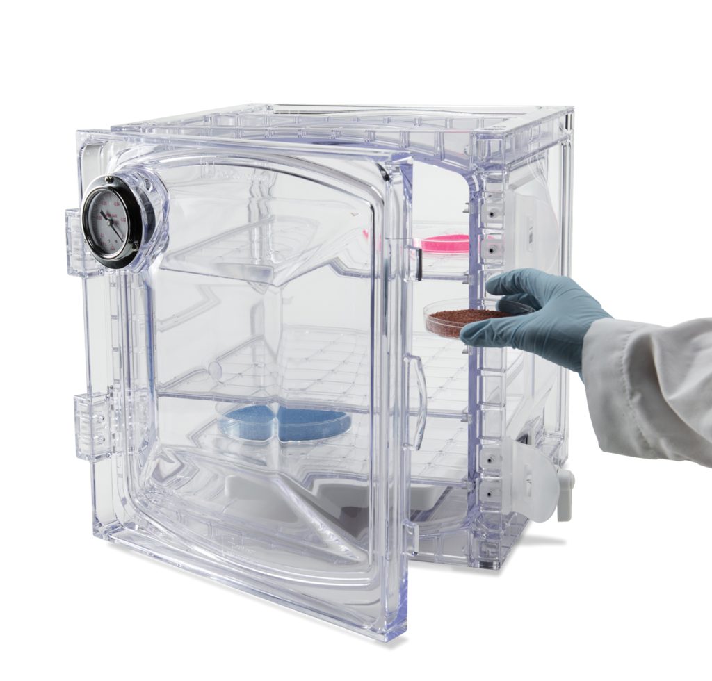 Lab Companion Cabinet Style Vacuum Desiccators